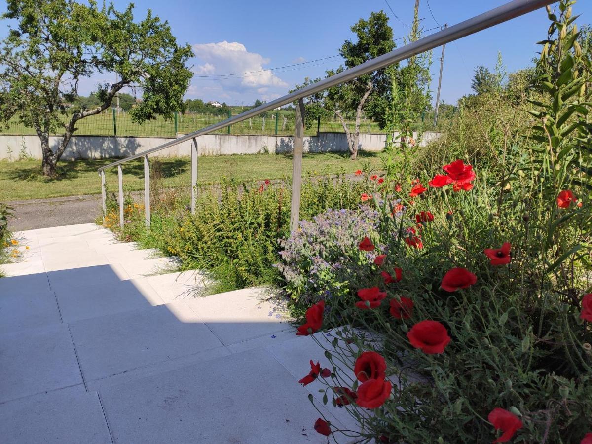 فندق Domaine Des Arts Dompierre  المظهر الخارجي الصورة